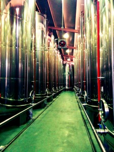 bodega aove carrasqueño