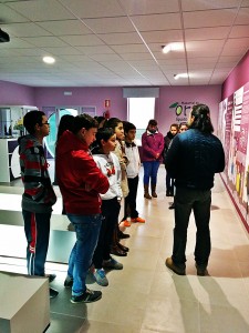 museo aceite de oliva alcaudete