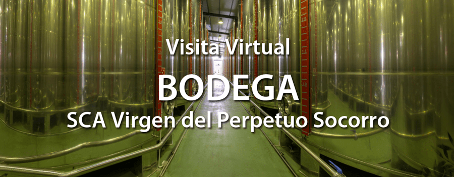 visita-virtual-bodega